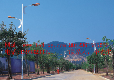 LED路灯LED119 LED路灯LED119